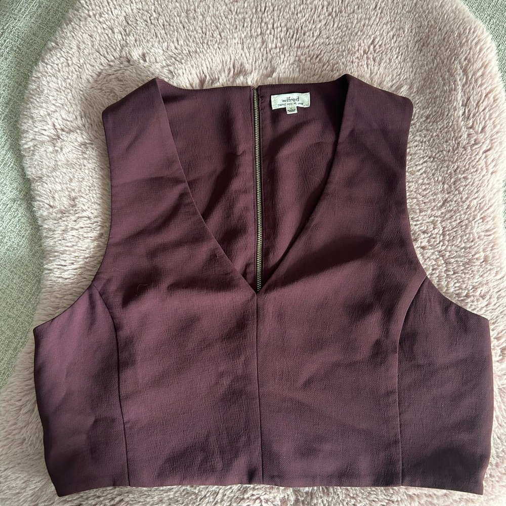Aritzia Wilfred Dauphine Crop Top